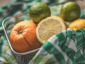 Weihnachtliche Citrus-Duftkunst